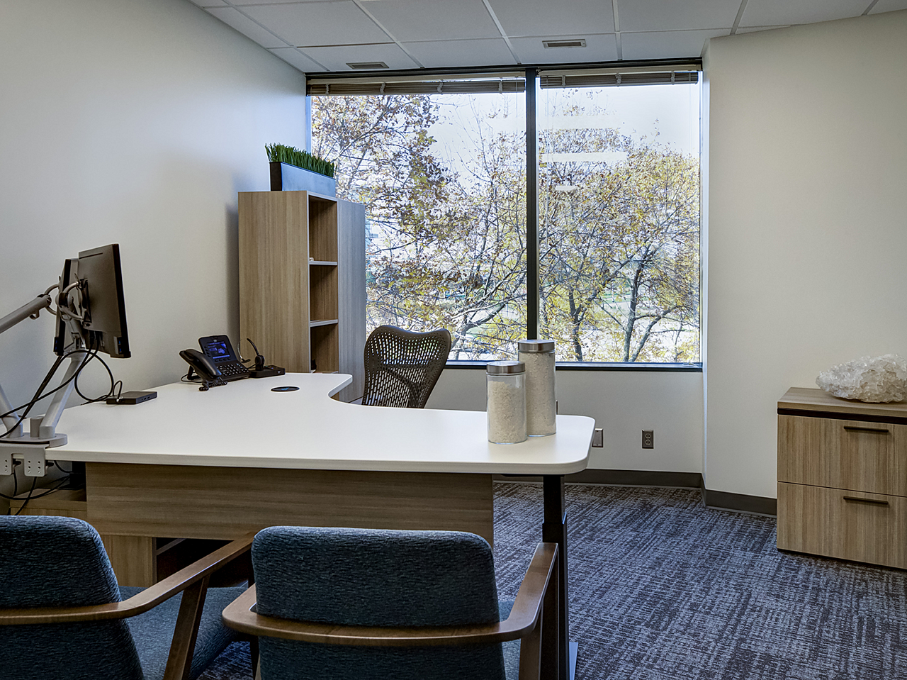 Compass Minerals private office with tree view. Wood/white laminate surface, blue upholstered side chairs with wood frame, matching wood storage/bookshelf
