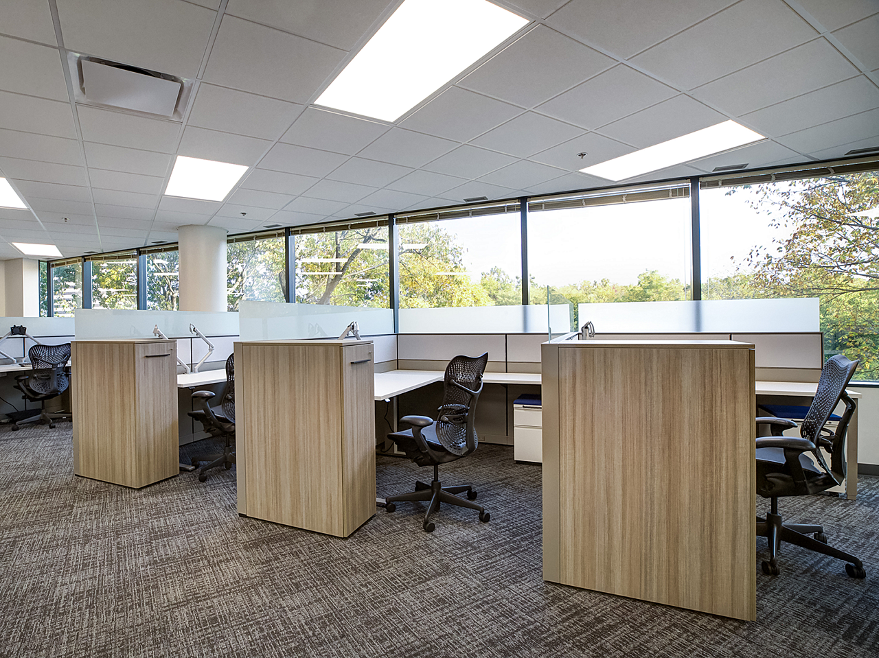 Row of four cubicles along a windowline with Aeron task chairs. White height adjustable desks with wooden storage.