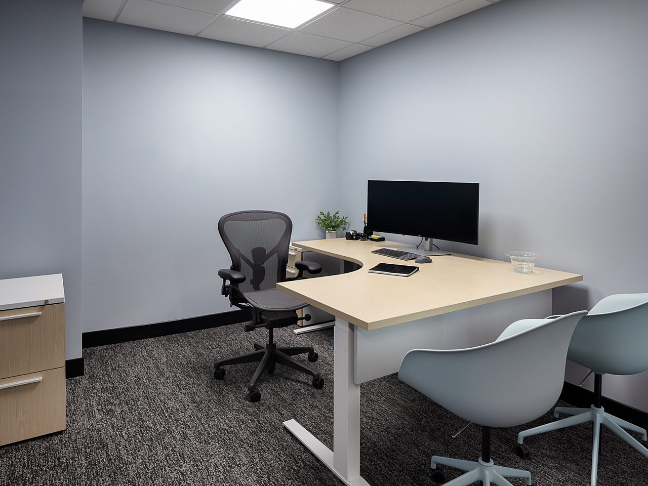 A private office with blue/grey walls, a white/light wood curved desk, blue guest seating, and black Aeron chair and a filing cabinet.
