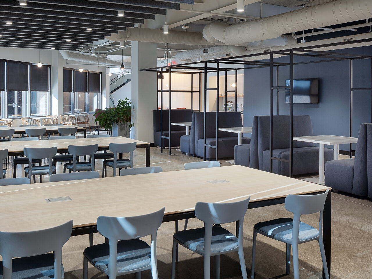 Moody cafe with blue booth seating with trellis frames, multiple long tables surrounded by grey dining chairs. Small cafe tables line far end of room