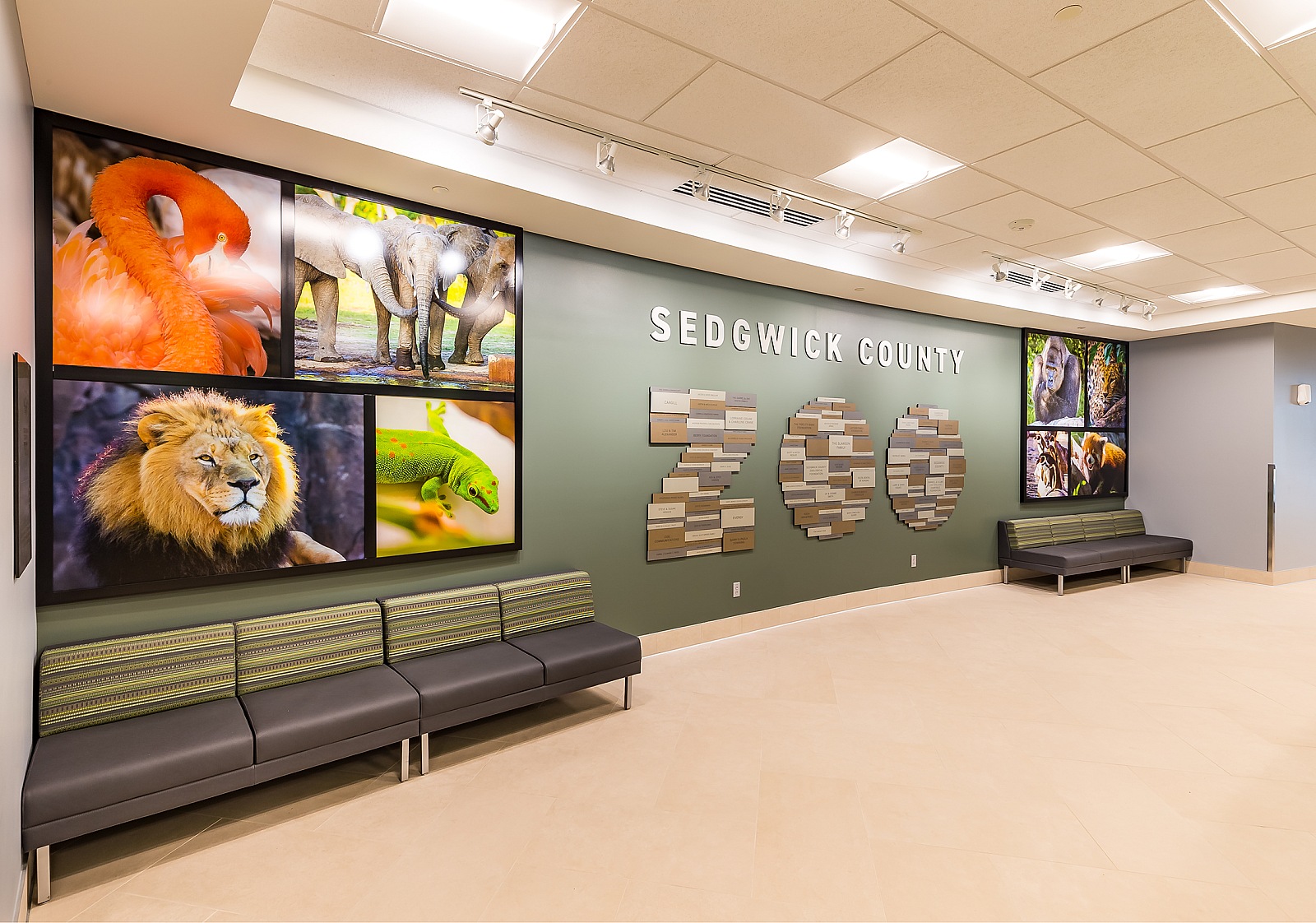 Primary Project Sedgwick Cty Zoo Entry 1 Mounts