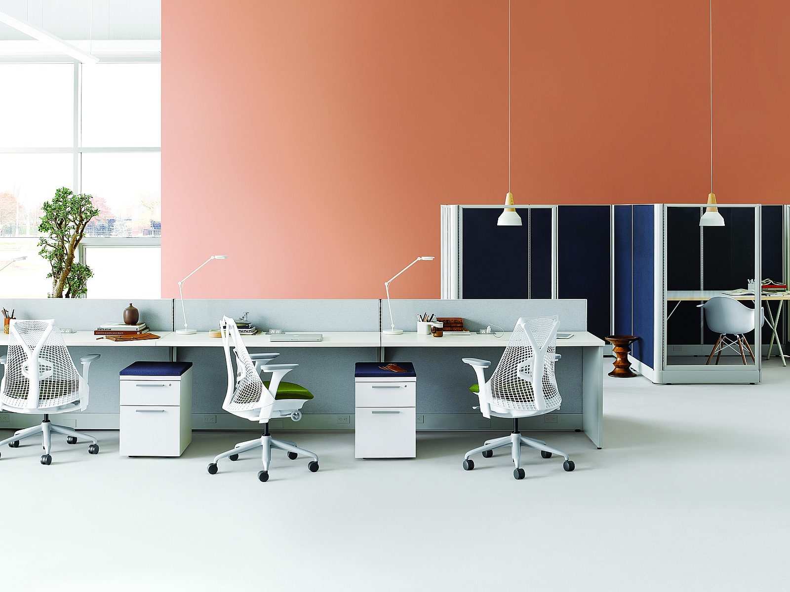 Services Furniture Rental Coord Primary