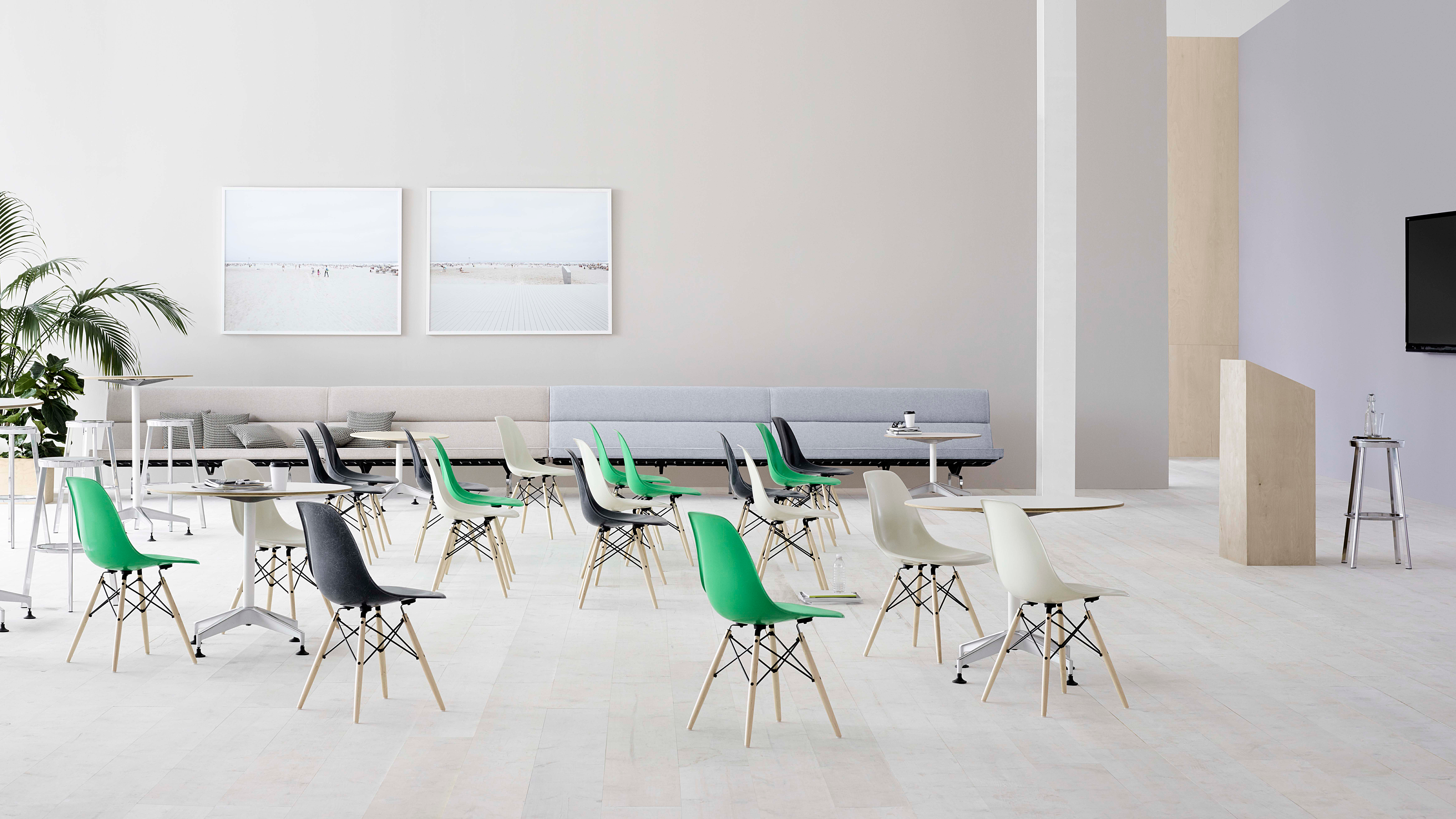 About Sustainability Primary