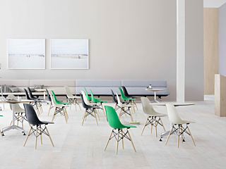 About Sustainability Primary