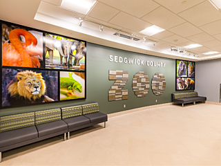 Primary Project Sedgwick Cty Zoo Entry 1 Mounts