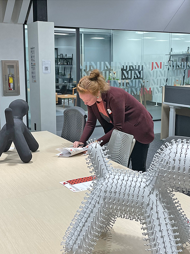 Gallery Magis Puppy Design Challenge Judge Linville Battle