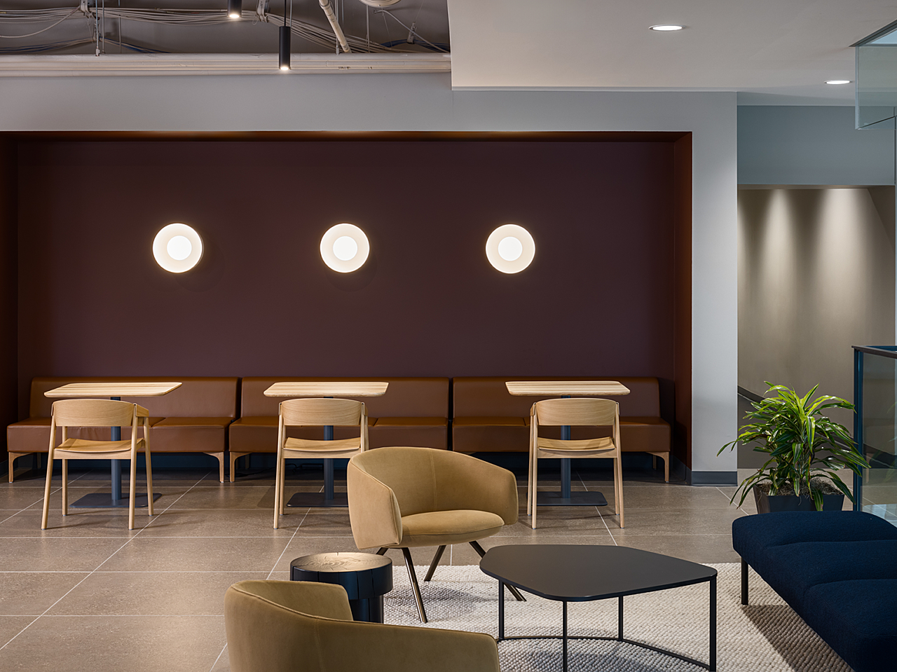 Banquette nook - brown leather seating, and light wood square cafe tables and three chairs. Dark blue bench and round-back lounge chairs and coffee table