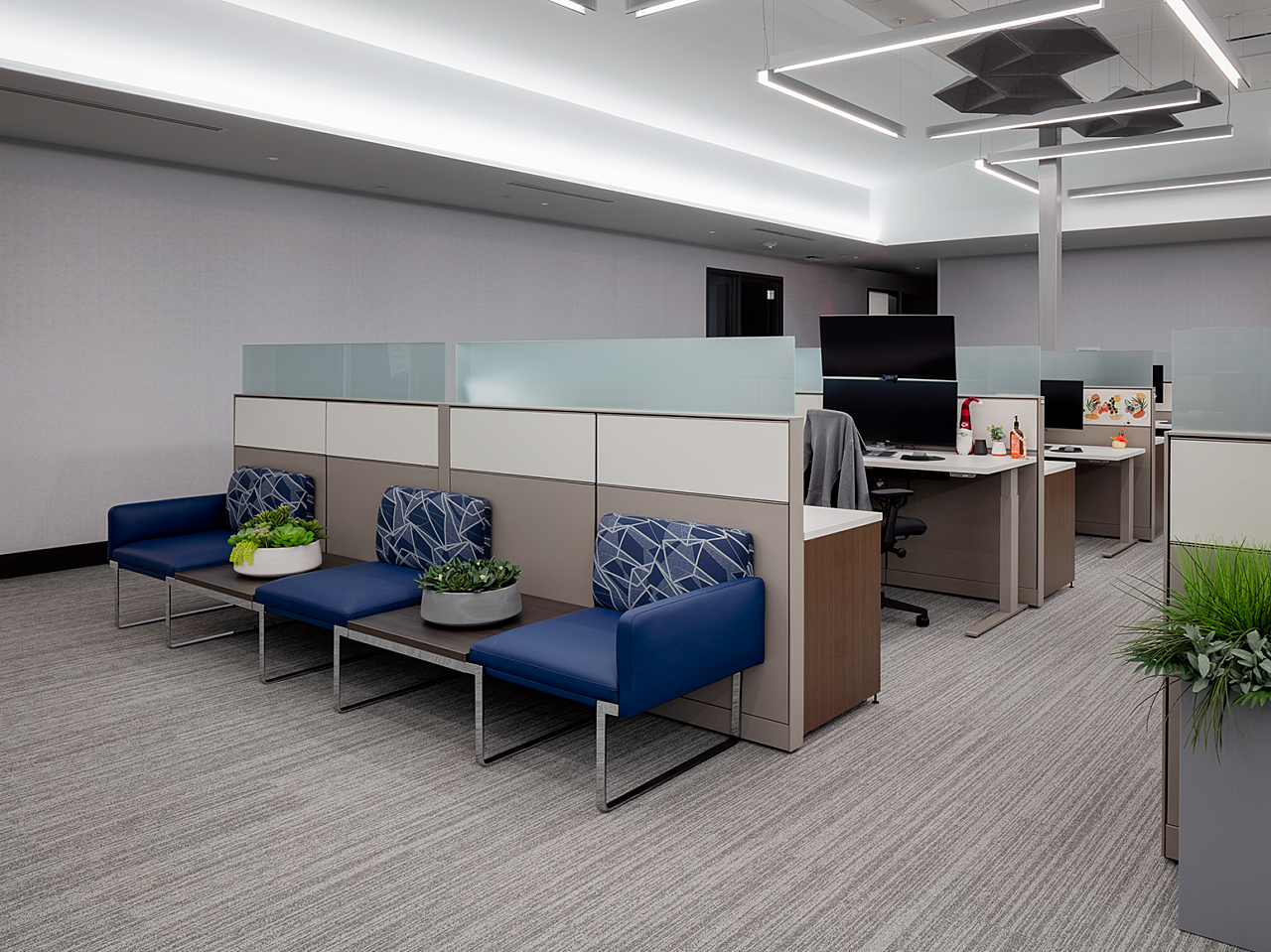 Dr Vince-open workstation area with wall panels and frosted glass. Ganged seating outside with built in tables with plants. Blue/patterned fabric.