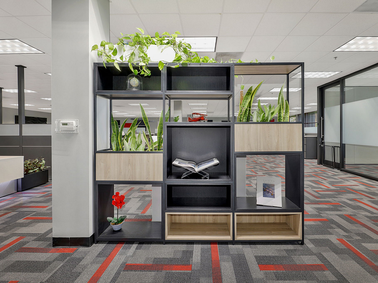 Lochlyn freestanding storage/room divider unit made of storge cubes holding plants, and office knickknacks. Some cubes are seethrough and others have backs