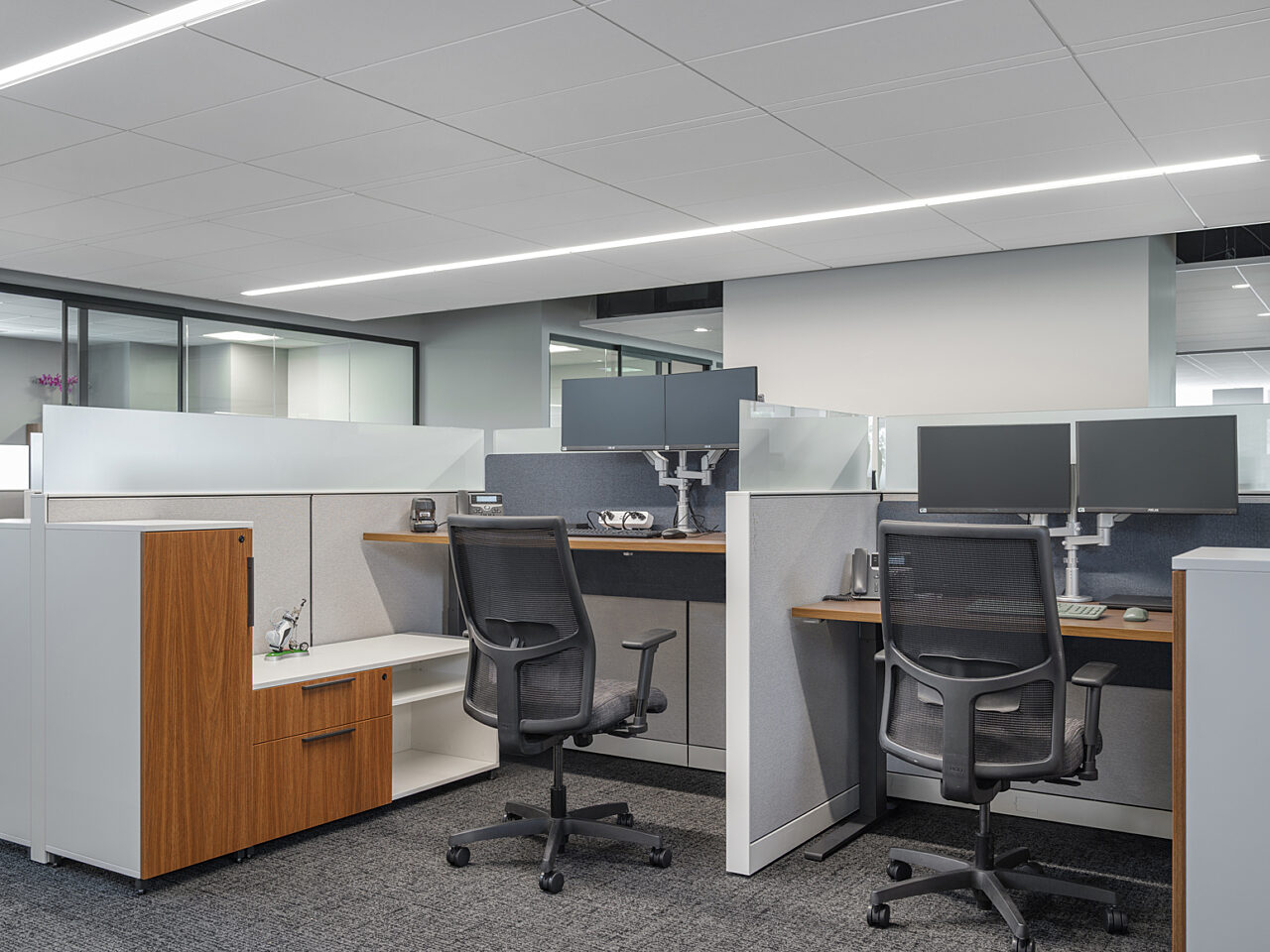 Two side-by-side workstations with height-adjustable surfaces and L-shaped storage cabinets on the side.
