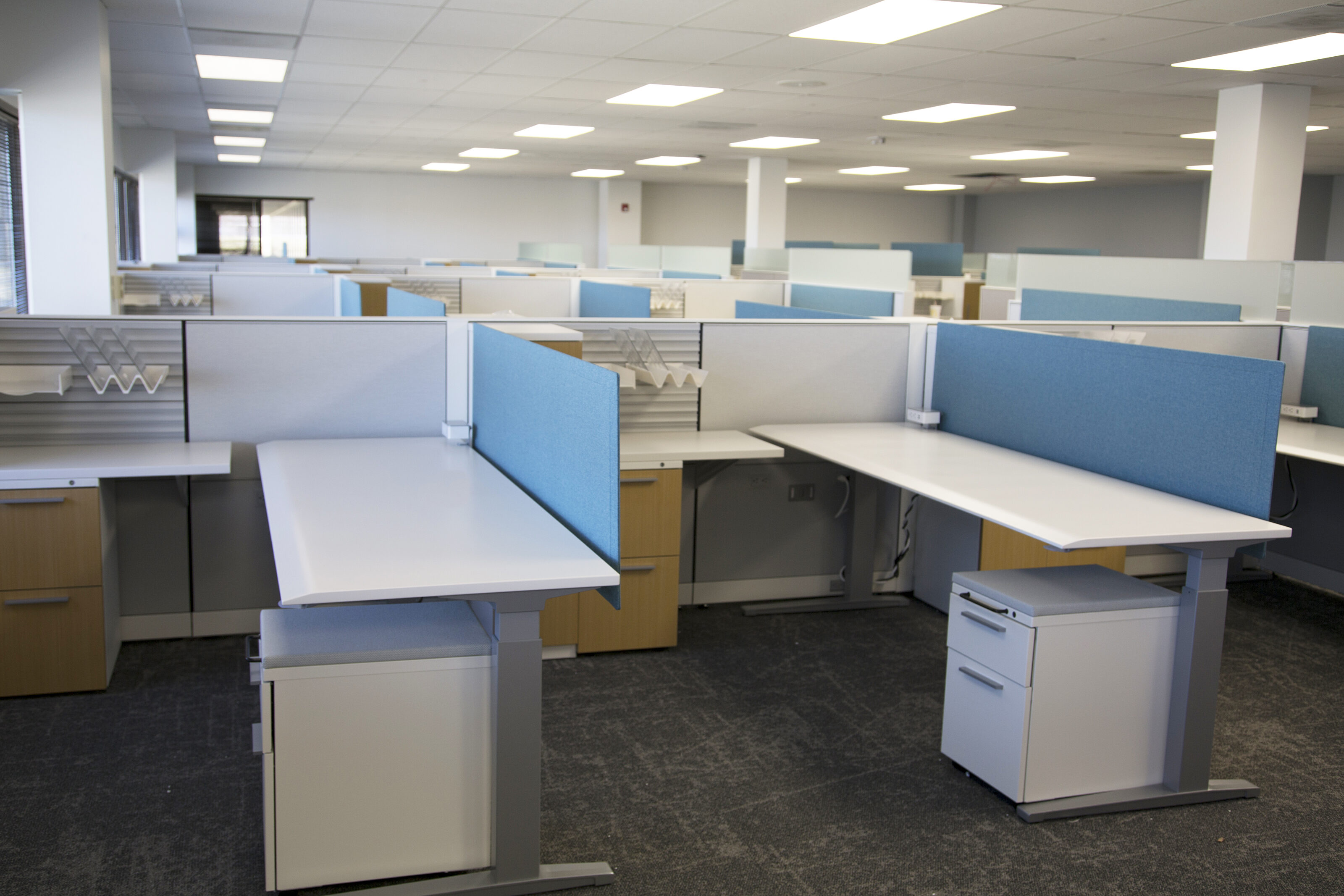 Lockton Affinity - Large area of multiple Herman Miller workstations with white height-adjustable desks and blue back panels. Wood faced storage underneath