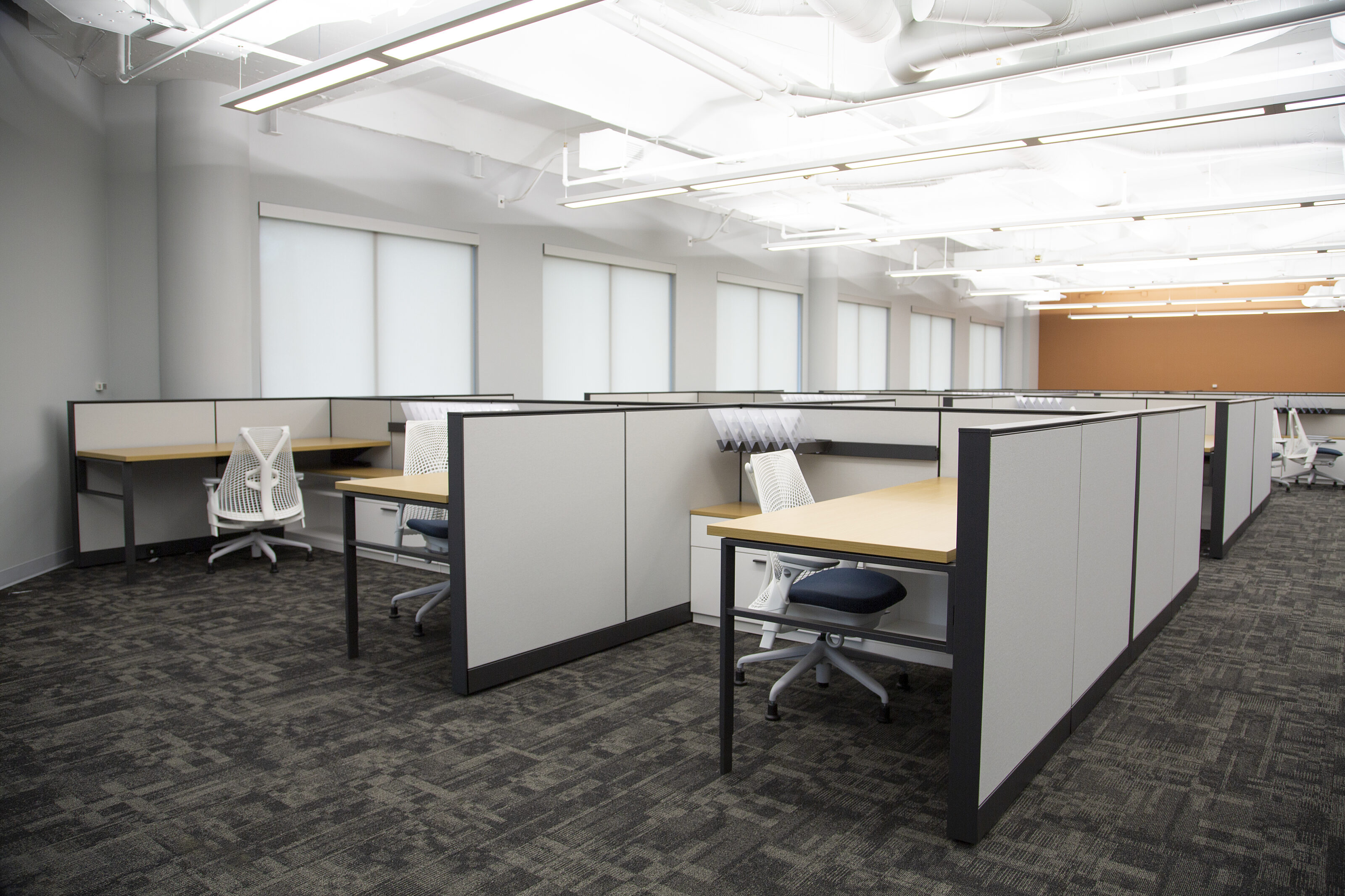 My Freight World - Open office workstation area. Walls are white with black accents, white task chairs and black metal desks with light wood tops.