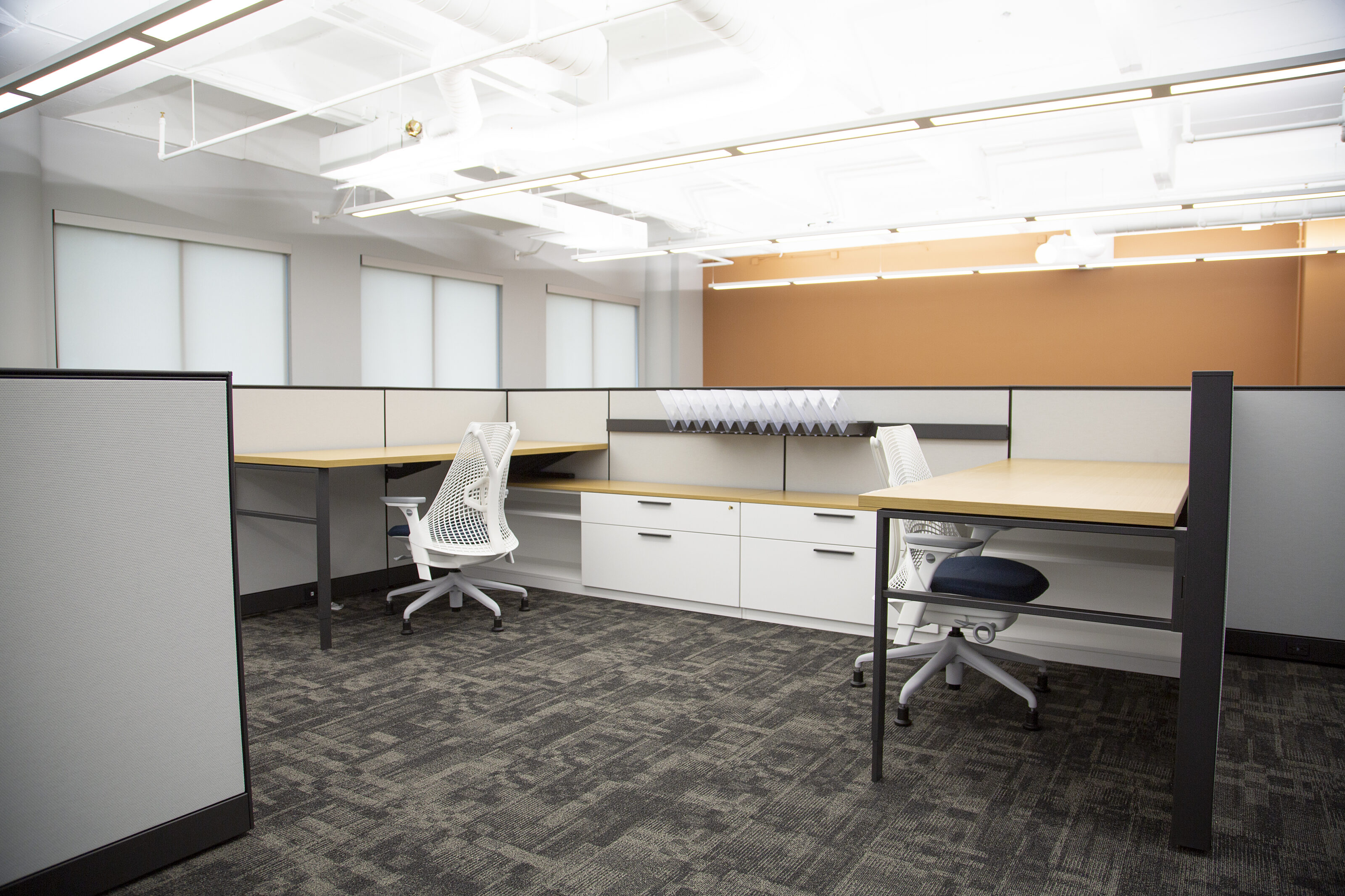 My Freight World - Open office workstation area. Walls are white with black accents, white task chairs and black metal desks with light wood tops.